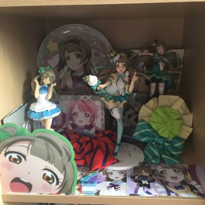LoveLive! School idol project 南小鸟 これからのSomeday 