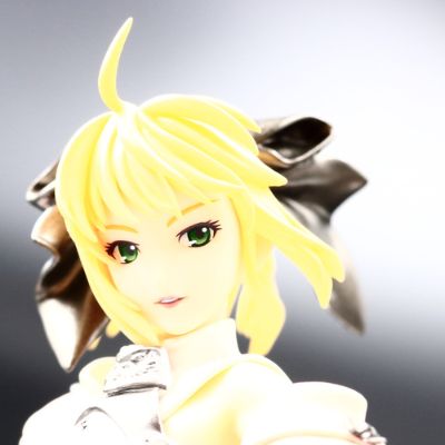 Fate/unlimited codes Saber・Lily