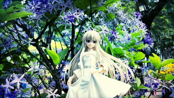 缘之空 春日野穹