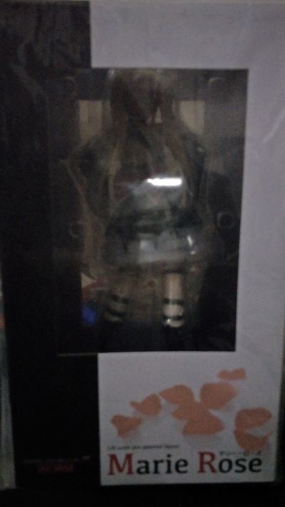 死或生5  玛丽萝斯