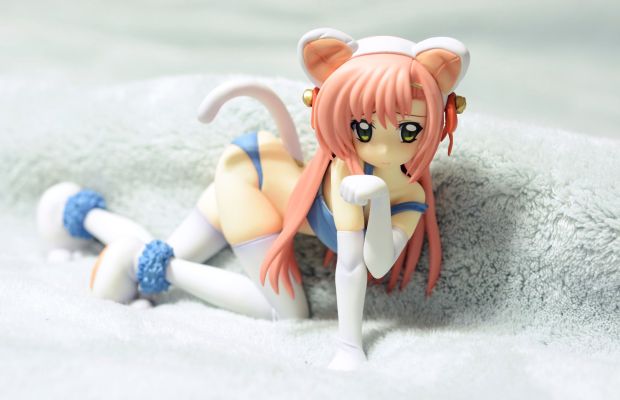 旋风管家！ 桂雏菊 猫ver.