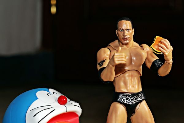 S.H.F WWE The Rock