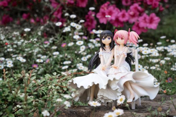 剧场版 魔法少女小圆 叛逆的物语 晓美焰&鹿目圆