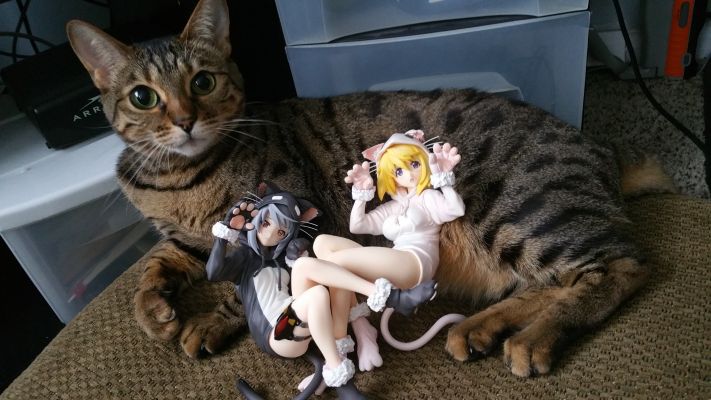 IS〈Infinite Stratos〉 夏洛特&拉芙拉 猫耳睡衣