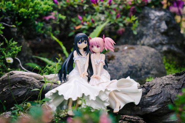 剧场版 魔法少女小圆 叛逆的物语 晓美焰&鹿目圆