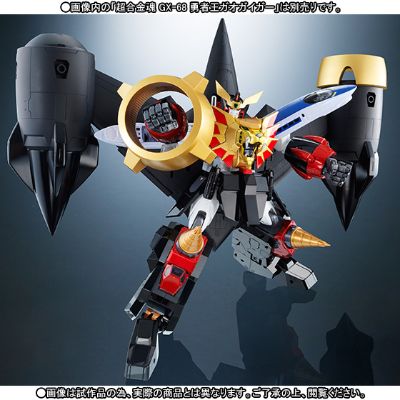 超合金魂 勇者王GaoGaiGar Star GaoGaiGar 配件包