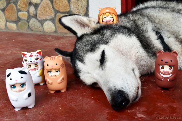 黏土人もあ トラねこ 