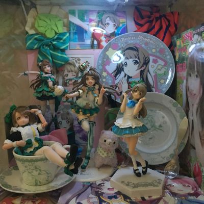 LoveLive! School idol project 南小鸟 これからのSomeday 