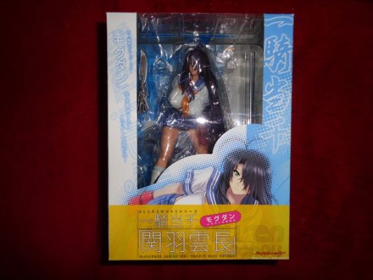 一骑当千 Dragon Destiny 関羽云长