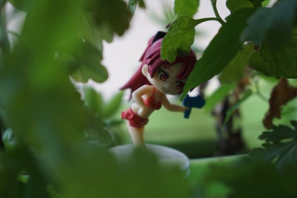 にいてんご 剧场版 魔法少女小圆 叛逆的物语 佐仓杏子 水着ver. 
