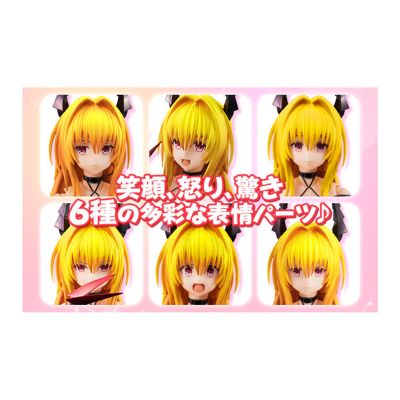 Variable Action Heroes DX 金色暗影