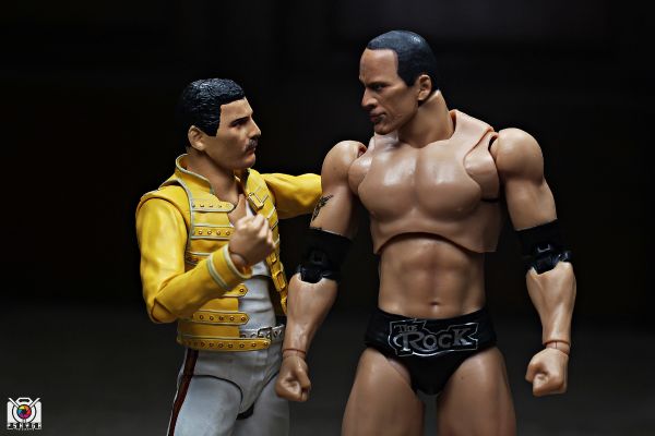 S.H.F WWE The Rock