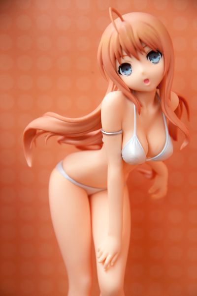 迷茫管家与懦弱的我 近卫昴 泳装版