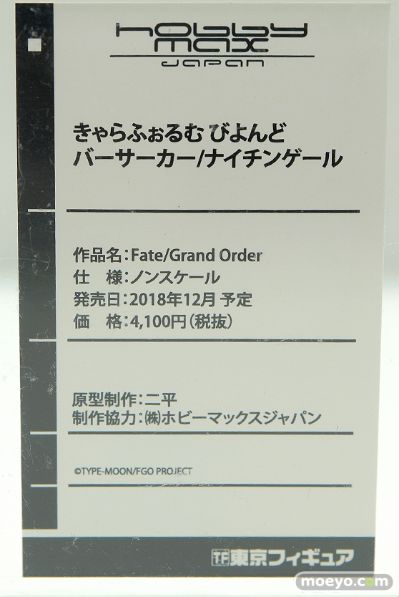 Fate/Grand Order 南丁格尔 