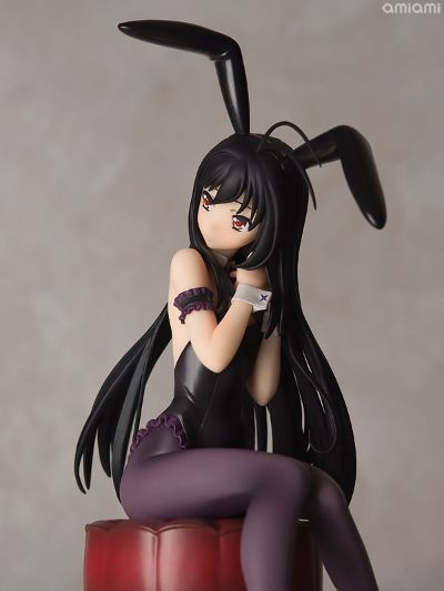 加速世界 黑雪姬 兔女郎