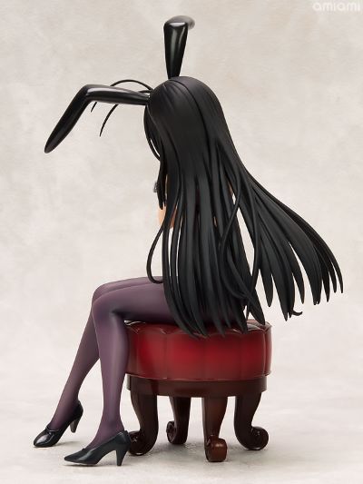 加速世界 黑雪姬 兔女郎