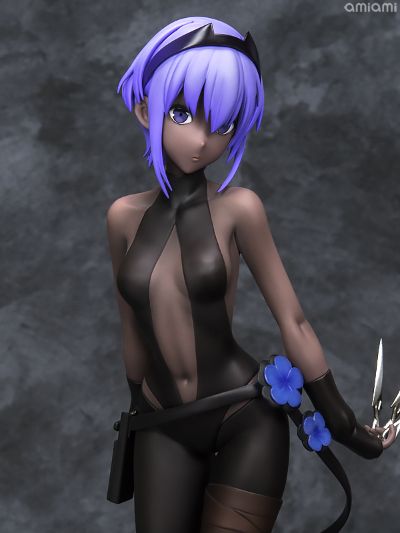 Fate/Grand Order 静谧哈桑 Assassin