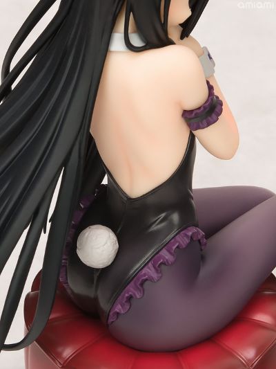 加速世界 黑雪姬 兔女郎