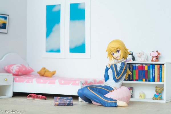 IS〈无限斯特拉托斯〉夏洛特・迪诺亚 运动装