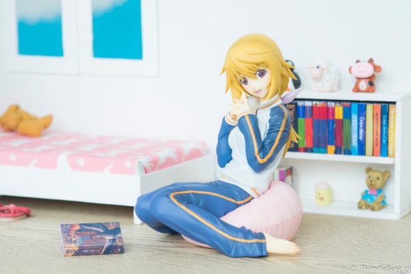 IS〈无限斯特拉托斯〉夏洛特・迪诺亚 运动装