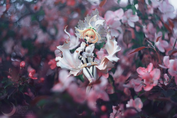 Saber Bride 通常版