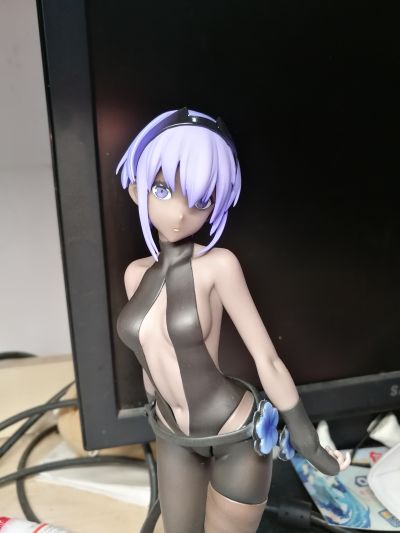 Fate/Grand Order 静谧哈桑 Assassin
