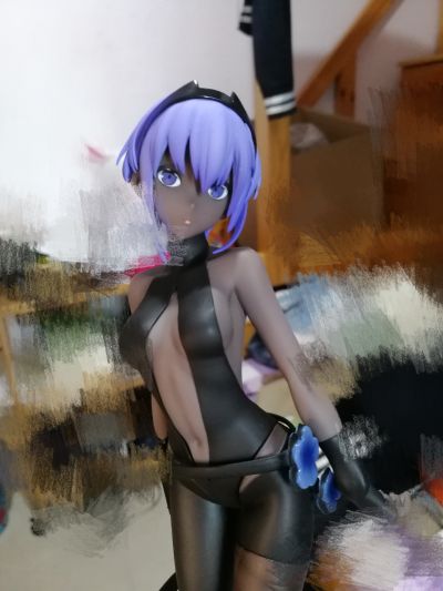 Fate/Grand Order 静谧哈桑 Assassin