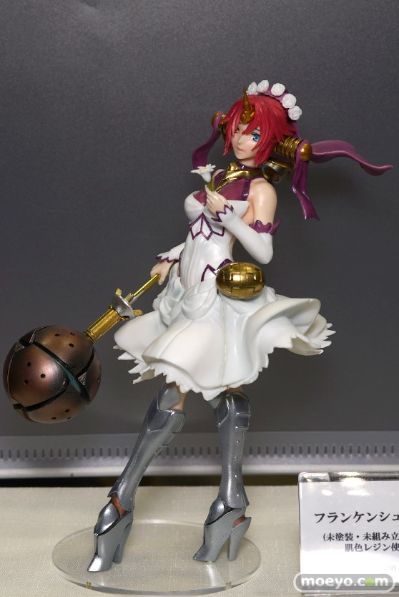 	Fate/Grand Order 弗兰肯斯坦