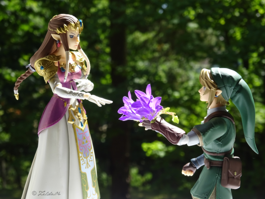 figma #318 萨尔达传说 黄昏公主 塞尔达公主