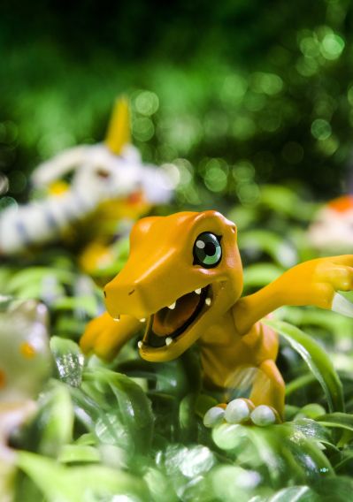 デジコレ デジタルモンスター デジコレ DATA1 数码暴龙大冒险 アグモン