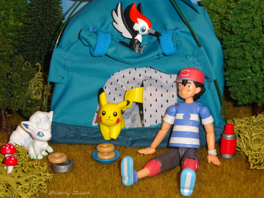 モンコレEx 口袋妖怪サン&ムーン ロコン ア罗拉のすがた 