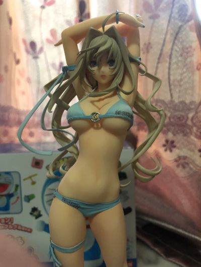鹡鸰女神 月海
