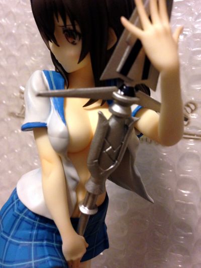 噬血狂袭 姬柊雪菜