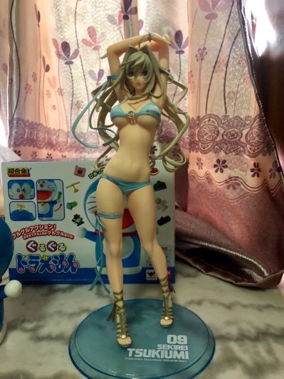 鹡鸰女神 月海