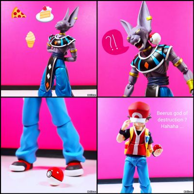 S.H.Figuarts    比鲁斯