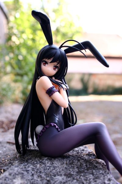 加速世界 黑雪姬 兔女郎