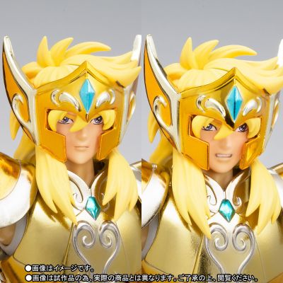 圣斗士圣衣神话EX 圣斗士星矢 水瓶座冰河