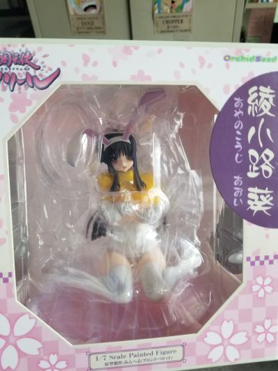 战国天使Djibril 綾小路葵