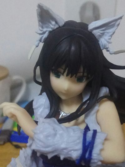 EXQ手办 偶像大师灰姑娘女孩 渋谷凛