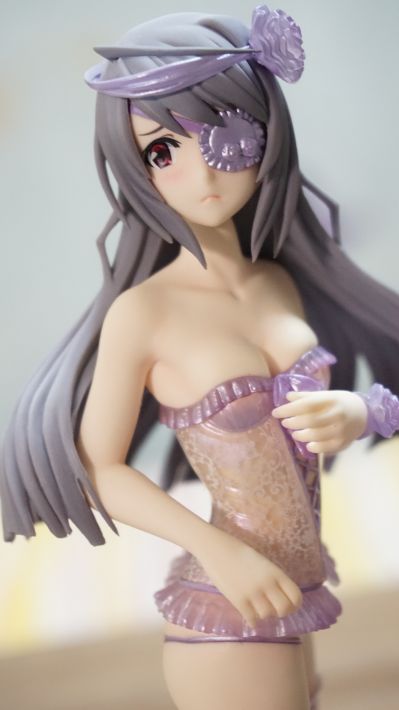 DreamTech LingerieStyle 系列 IS〈Infinite Stratos〉 拉乌拉·博迪维希 Animaru! Limited Ver. 