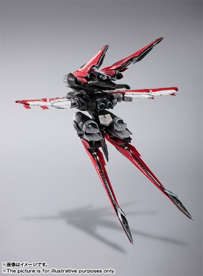 METAL BUILD 机动战士高达SEED Astray 飞行组件配件包