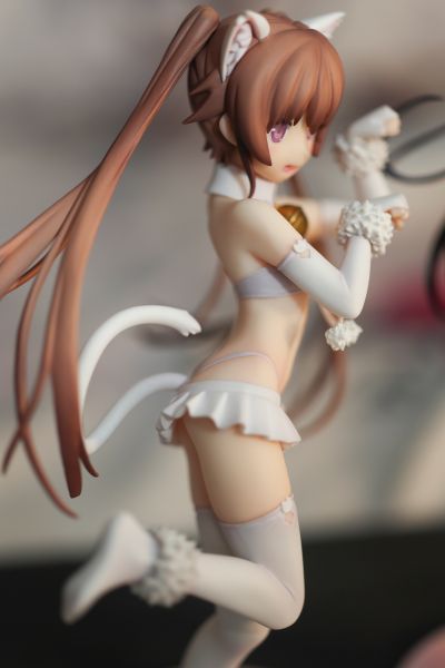 苍之彼方的四重奏 有坂真白 猫耳版