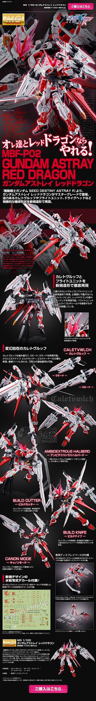 MG 机动战士高达SEED DESTINY ASTRAY R  异端高达红色机 红龙形态