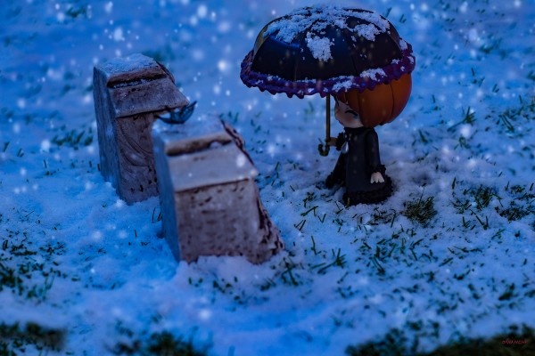 粘土人 #249 加速世界 黑雪姬