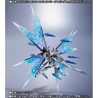 METAL BUILD 机动战士高达SEED Destiny ZGMF-X20A 强袭自由高达 光之翼配件包