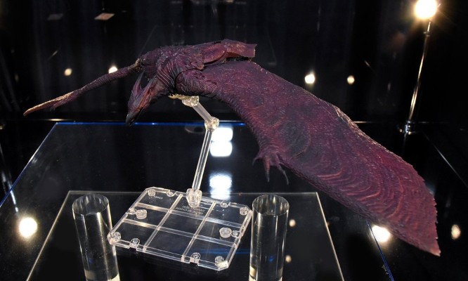 monsterarts 哥斯拉:怪兽之王 拉顿(2019)