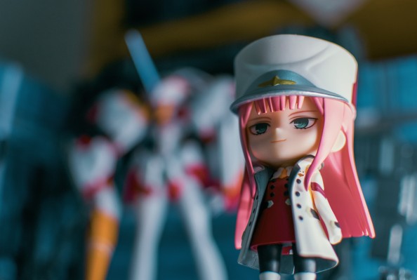 02与鹤望兰