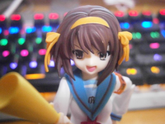 涼宮 ハルヒ-帶領我入宅的小姐姐