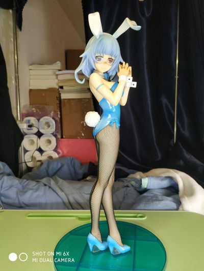 B-style IS〈无限斯特拉托斯〉更识簪 兔女郎