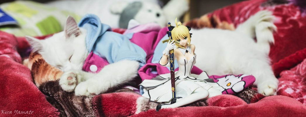 Saber・Lily